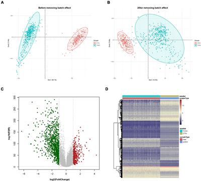 A Ferroptosis-Related Gene Model Predicts Prognosis and Immune Microenvironment for Cutaneous Melanoma